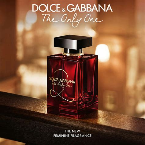 dolce gabbana the only one description|d&g the only one 2.